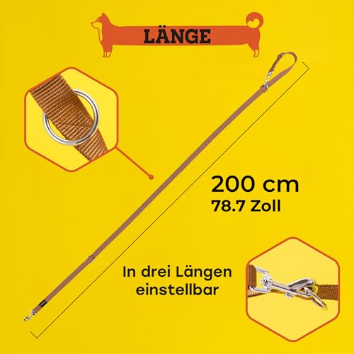 vitazoo Hundeleine in braun, solide und in 4 Längen verstellbar - geeignet für große und Starke Hunde - Hundeleine, Doppelleine - Gesamtlänge 2m