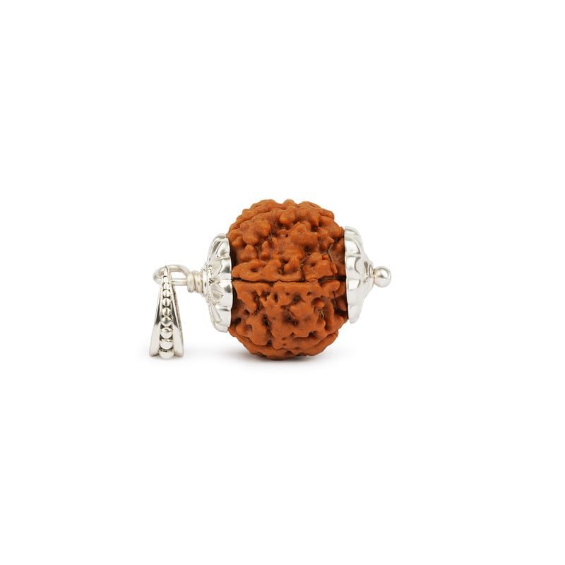 Image of Gemsmantra Energized 7 Mukhi Rudraksha Bead with 92.5 Sterling Silver Pendant, Original Nepali Lab Certified, Natural Spiritual Jewelry for Men and Women (Medium Size)