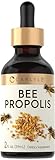 Carlyle Bee Propolis Tincture Drops | 2 Fl Oz | Liquid Extract | Non-GMO, Gluten Free Supplement