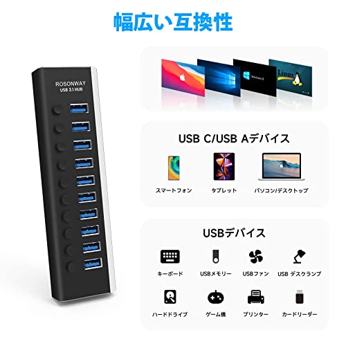 ROSONWAY USB ハブ 3.1 Gen2 10Gbps 10ポートアルミ製 36W USB HUB セルフパワー USBケーブルとType Cケーブル 付き 12V/3A ACアダプタ 独立スイッチ 付き(RSH-A10S)