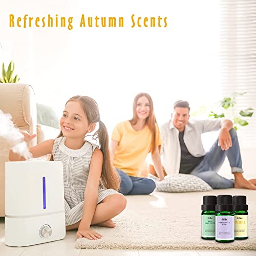 Autumn Fragrance Oils, Mitflor 12 Bottles Premium Scented Oils For Diffuser, Men's Club, Soap, Candle Making, Spice Bomb, Leather, Orange Spice, Vanilla Pumpkin, Aromatherapy Oils Gift Sets #TOP5