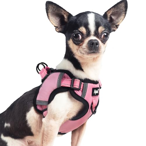 PUPTECK Dog Harness Small Sized Dog, Step in Adjustable Reflective Dog Vest Harness Escape Proof, No Pull Soft Padded Harness Easy Control, Pink, XS