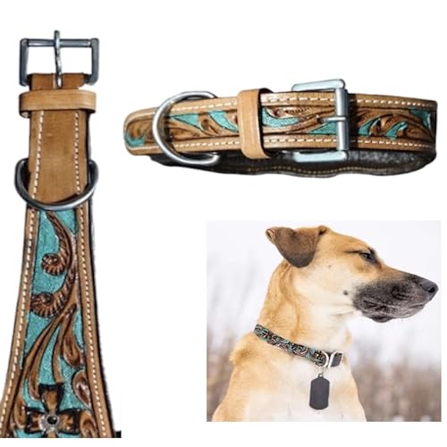 Majestic Ally Leather Dog Collar with Adjustable, Padded Fit for Walking, Hiking, and Running...