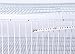 Big Foldable Galvanised Pigeon Dove Bird Trap Cage Feral Pigeon Humane Way with The one-Way Entrance Trapping Pigeons Doves in Cages (Jump cage 60cm*60cm)