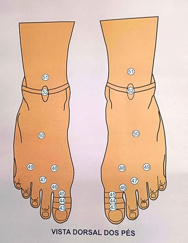 MAPA/POSTER DAS ÁREAS REFLEXAS DOS PÉS - REFLEXOLOGIA - DIMENSÕES: LARGURA 117 CM X ALTURA 89 CM