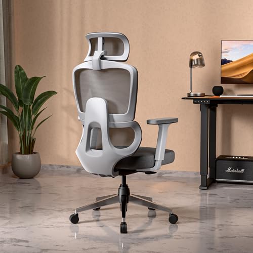 Green Soul Orion | Ergonomic Office Chair for Work with Dual Pane...