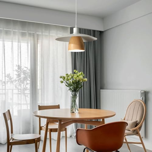 Lustre suspension E27 au design simple et créatif pour éclairage de bar