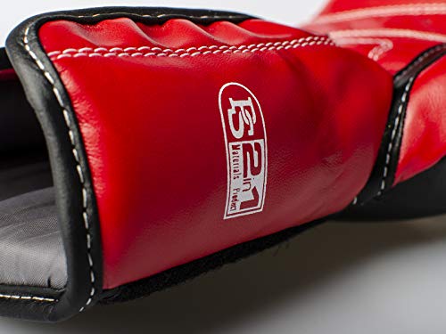 Boxhandschuhe 10 oz Paffen Sport Allround ECO für das Training