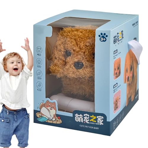 {bgʂ݁A{bg | {bgKU錢{bg - ʐ^C^NeBuʂ݁Adʂ݁AOpdqybg