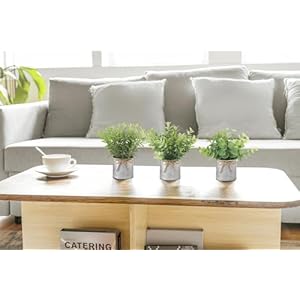 Mkono mini fake plants in farmhouse galvanized metal pots 3 pack small potted artificial plant eucalyptus for laundry room bathroom shelf table decor  urban country home decor