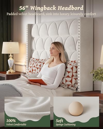 Elegant Velvet Queen Bed Frame with Wingback Headboard - Image 4