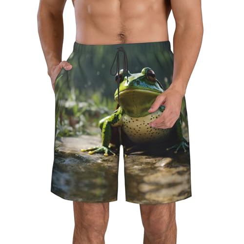 Frog Leaves Print Mens Beach Pants Men's Novelty Swimtrunks Quick Dry Lining Beach Board Shorts S-3XL