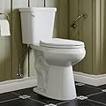 HOROW 19 Inch Tall Toilets, Extra High Toilets with Comfort Chair Height Seat, 1.28 GPF Single Flush Two-Piece Toilet, 12" Rough In Elongated Bowl for Seniors, Pregnant, Disabled & Tall Person, White