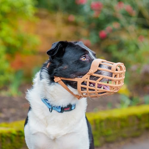 Image of Baskerville Classic Basket Muzzle - Dog can Pant and Drink, Prevents Biting and Food Waste Scavenging, Strong TPR, Ideal for Longer Nosed Dogs, Breathable Dog Training Muzzle for Medium Dogs (Size 6) | Dog can Pant and Drink, Prevents Biting and Food Waste Scavenging, Strong TPR, Ideal for Longer Nosed Medium Dogs