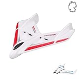 Himoto HSP RC ferngesteuertes Kampf-Jet mit Akku und 2.4GHz-Fernsteuerung, Flugzeug-Modell im Drohnen Design, Flieger, Kampf-Flugzeug, Ready-to-Fly, Komplett-Set