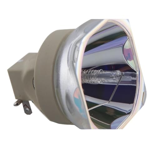 Ampoule NP44LP pour projecteur NEC P474U P554U P474W P554W