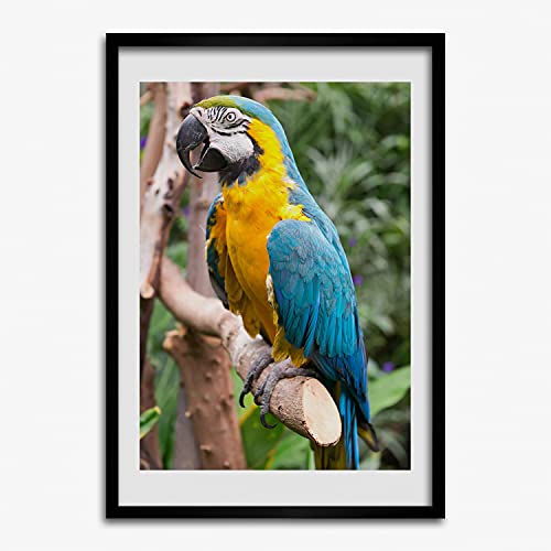 Cadre photo 50x70 cm résout vos murs vides avec la peinture moderne Ara perroquet