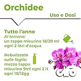 CIFO B06XJ9JRNF lato 4