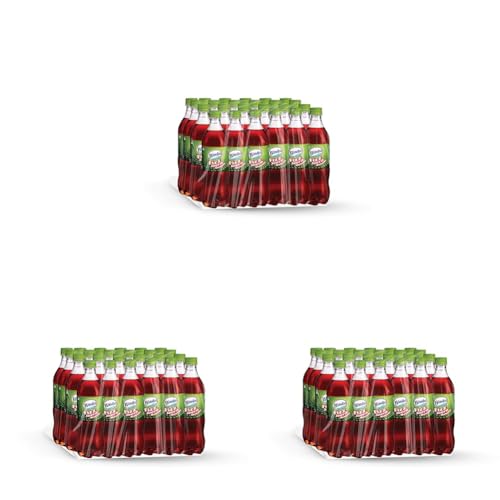 Image of Bindu Fizz Jeera Flavoured Carbonated Masala Soda Refreshing Summer Drink - 600 ml Pet (Pack of 72)