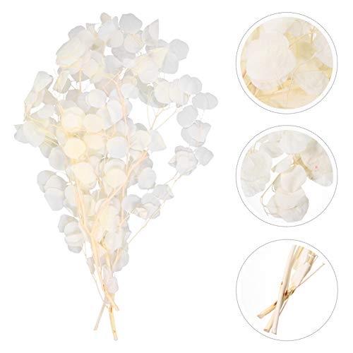 Cacho De Macieira Eucalipto Vasos Para Guirlanda Verde Guirlanda De Natal Hastes De Eucalipto Flores