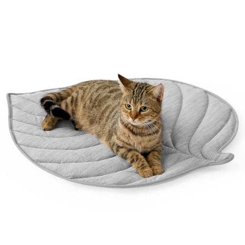 COZY KISS Kühlmatte 68x58cm, Q-Max>0.4 für Klein Hunde & Mittel Katze, Grau