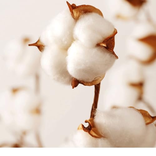 Drap de dessus gaze coton lit double bleu drap plat 245x250cm - 7