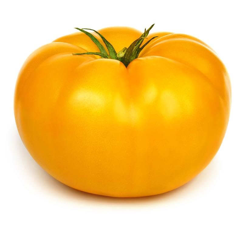 Yellow Beefsteak Tomato 250 Mg ~90 Seeds – Non-GMO, Heirloom, Indeterminate – Large 1–2 lb Fruits – Open-Pollinated Slicing Tomatoes for Garden Beds &