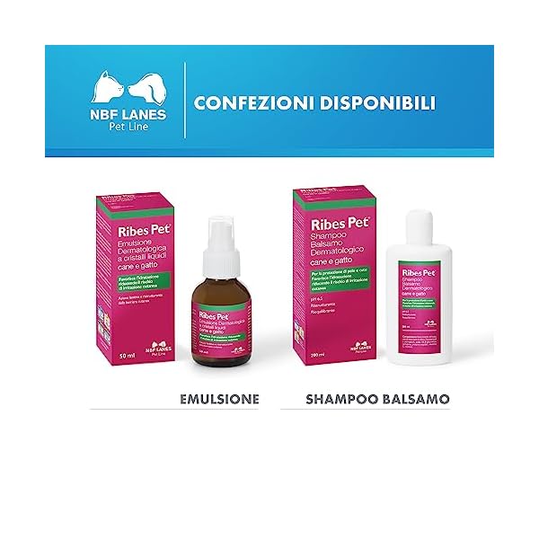 NBF Lanes | Ribes Pet Hautpflege, für Hund und Katze, 200 ml, zum Schutz von Fell und Haut, pH 6,5, Restrukturierend, ausgleichend – Bild 7