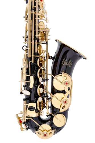 Saxofone Alto Mib Preto Com Douradas (novo) Garantia+nfe