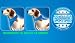 Aqua Coolkeeper 50AQPEBAPB01 Kühlhalstuch für Hunde, Pacific Blau, 19-25 cm