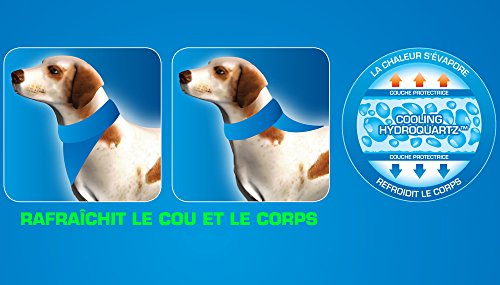 Aqua Coolkeeper 50AQPEBAPB01 Kühlhalstuch für Hunde, Pacific Blau, 19-25 cm