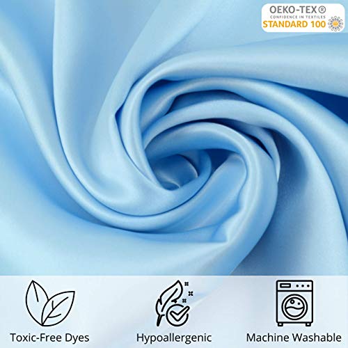 Celestial Silk 100% Silk Pillowcase For Hair Luxury 25 Momme Mulberry Silk, Charmeuse Silk On Both Sides Envelope Closure -Gift Wrapped (Queen, Icy Blue) #TOP1