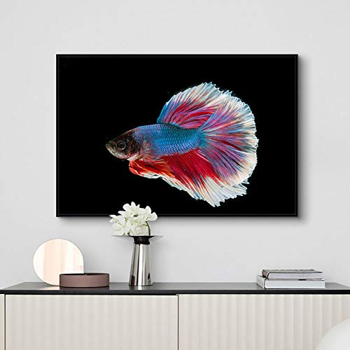 Peinture animaux marins colorés affiche moderne toile salon déco maison