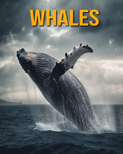 Whales: Fun Facts Book for Kids
