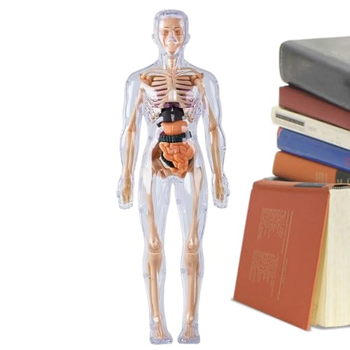 l̖͌^ | ÈłŌ鑟킨 | qpUf,ȊwwKp 8Έȏ̒j̎qƏ̎q wK nEB w t p