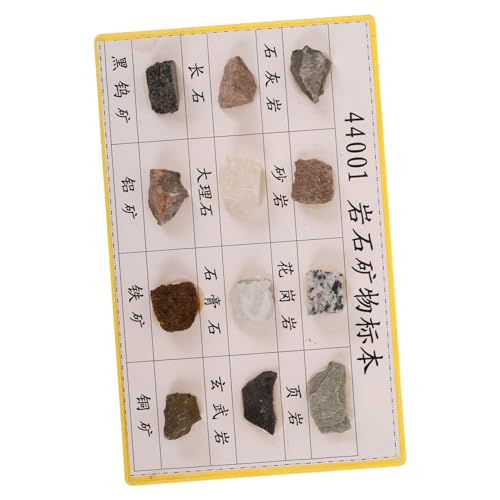 CIYODO 12 Pcs Mineral Rock Specimen for Geology Classroom Mineral Rock Specimen for Collecting Plastic Rock Specimen for Geology Classroom Rock Mineral Rock