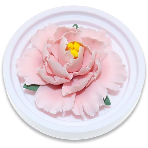 BITEYI Diffusore di Oli Essenziali,Fiori di Ceramica Diffusore di Aromi,Aromatherapy Diffuser per Scrivania,Camerino,Camere da letto (Rosa)