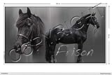Tamaño: 60 x 33 cm Adhesivo de caballo panorámico 60 cm de francotirón
