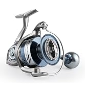 Amazon.com : Rooblinos SW Long Shot Jigging Spinning Reel
