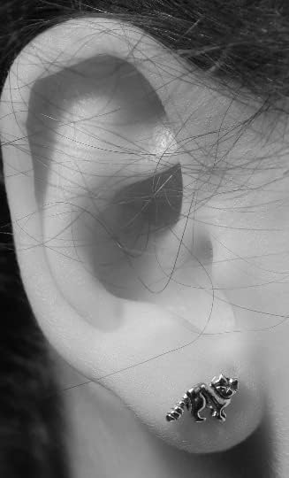 Raccoon Stud Earrings - 14k gold over sterling silver