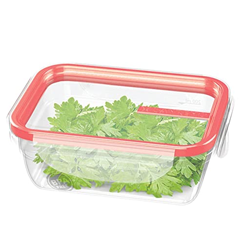 Pote Plástico de 330ml, com Travas Herméticas, Linha Freshy, Sanremo.