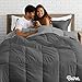 Bare Home Comforter - Reversible Colors - Goose Down Alternative - Ultra-Soft - Premium 1800 Series - All Season Warmth - Bedding Comforter (Twin/Twin XL, Grey/Light Grey)