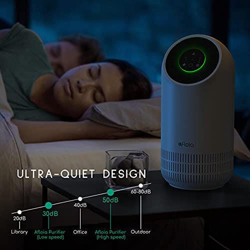 Afloia Air Purifier For Home Large Room H13 True Hepa Filter Air Cleaner With 24Db Sleep Mode Remove 99.99% Of Dust, Pet Dander, Pollen For Office, Bedroom, Fillo White #TOP2