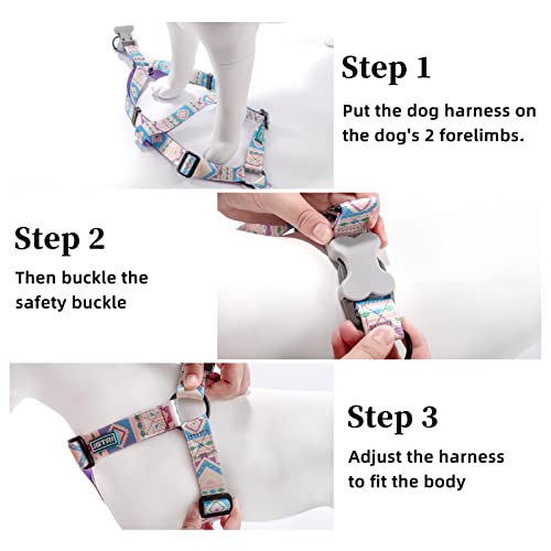 Jgtri Dog Harness Collar And Leash - No Pull Adjustable Back Clip Halter Harness Basic Collar And Heavy Duty Anti-Twist Leash For Small, Medium And Large Dogs Training Easy Walk Running(M,Purple) #TOP4