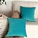 Artcest Set of 2, Cozy Solid Velvet Throw Pillow Case Decorative Couch Cushion Cover Soft Sofa Euro Sham with Zipper Hidden, 18