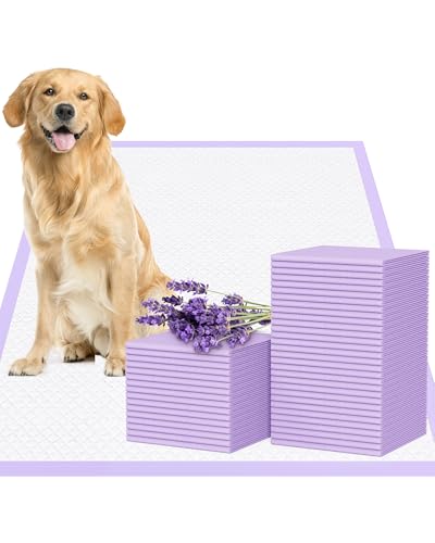 Dog Pee Pads Extra Large 28"x34", 50 Pack Lavender Scented XL Puppy Pads