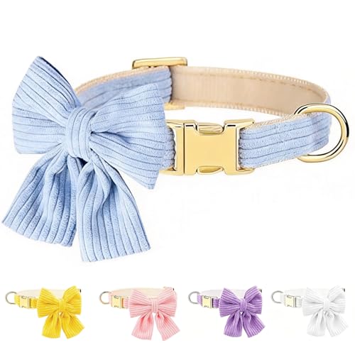 Collar para perro terciopelo azul talla S ajustable