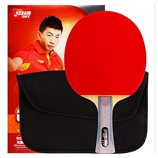DHS 6 Stars 6002 6006 Table Tennis Racket Ping Pong Paddle Blade BAT with Sticked Rubber and Case (Long Handle)
