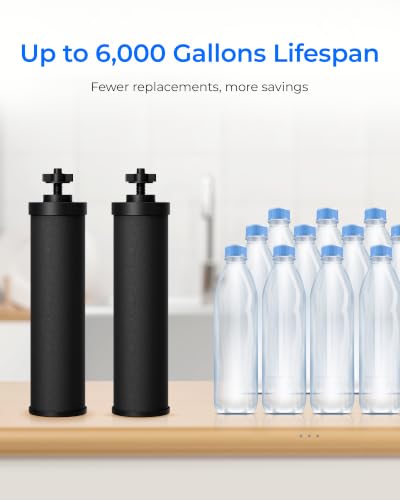 Image of Waterdrop Silver Ions Black Water Filter, Replacement for Berkey BB9-2