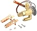 Expansion Valve, 1/3"
